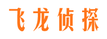 双峰市私家侦探